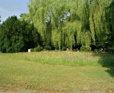 822066 Afbeelding van een veldje met bloeiende bloemen op de 1e Algemene Begraafplaats Soestbergen (Gansstraat) te ...